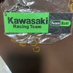①Kawasaki Racing