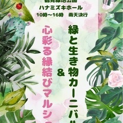 4月18日『鶴見緑地ハナミズキホール』イベント開催！
