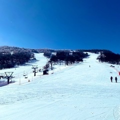 スキー行きましょう⛷️