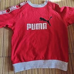 こどもふく PUMA プーマ