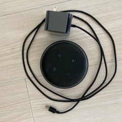 amazon echo  input アレクサ　エコーインプット