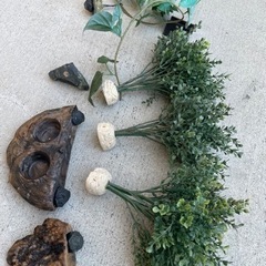 爬虫類 ミスト機とUV灯