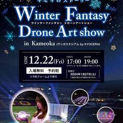 Winter Fantasy  Drone Art show  ...