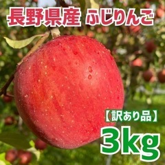 りんご　傷物　訳あり品