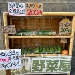 12/14.15の2日間限定！野菜よりどり3点で200円イベント