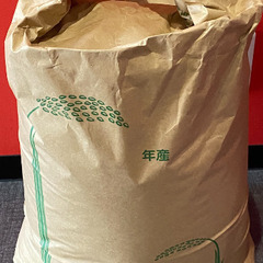 玄米30kgコシヒカリ　令和4年秋産