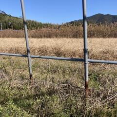 パイプハウス ビニールハウス 3畝 解体中