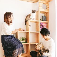 《一宮市》☕カフェ🍹恋活お見合い婚活パーティー💕💕どうぶつ好き🐶...