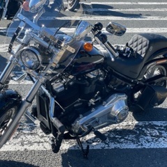 かる〜くゆる〜いツーリング　　　　　　　Harley-Davidson