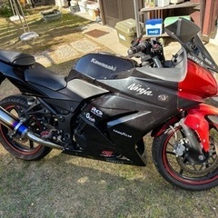 Ninja250r