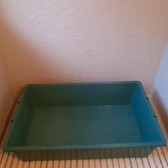 歳末セール(大型水槽～小型など)