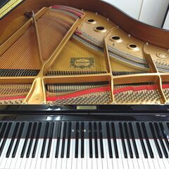 ヤマハ C1【美品/素晴らしいコンディション】内部調整/外装研磨美装/調律済