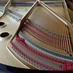 ヤマハ C1【美品/素晴らしいコンディション】内部調整/外装研磨美装/調律済