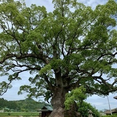 お友達募集です。