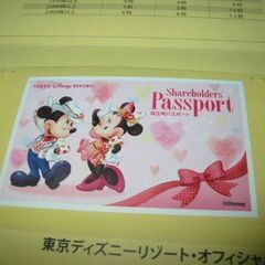 タイトル：東京ディズニーリゾート 入場券　期限　2024.1.31 １枚　+ 20251.31 １枚  計2枚