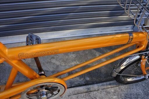 ペット乗せ自転車！丸石サイクル フラッカーズPET 愛犬や愛猫との