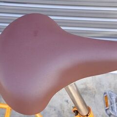 ペット乗せ自転車！丸石サイクル　フラッカーズPET　愛犬や愛猫とのおでかけに！動物病院に通うときにも！