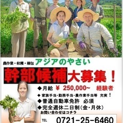 農業幹部候補　施設管理責任者　大阪　募集