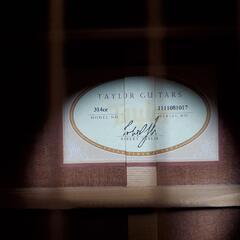 テイラー アコギ314ce　ES1  Bランク　ギグバッグつき