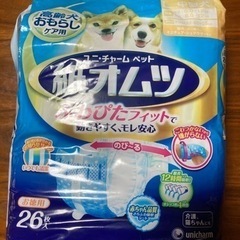 決まりました【値引き】ペット用紙オムツ　23枚(犬・猫)