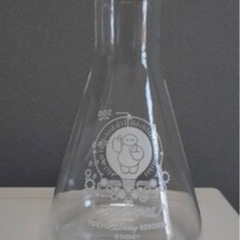 ベイマックス 花瓶 フラスコ型でDisneyで1600円で販売し...