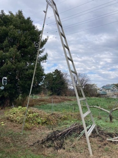 ハシゴ・脚立