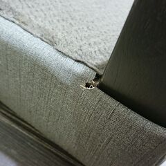 karimoku｜カリモク家具｜ダイニング5点セット