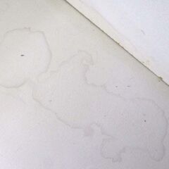 レンジボード 幅80cm 高さ180cm ダメージ有り ニトリ ELAINⅡ 食器棚