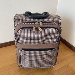 小型キャリー　ソフトキャリー　スーツケース