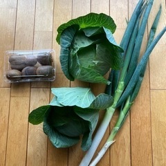 キューイと野菜