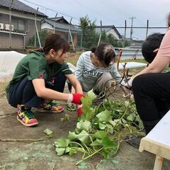 精神病棟の看護師の画像