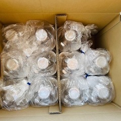 かき氷　フラワーカップ　手付き　1100個