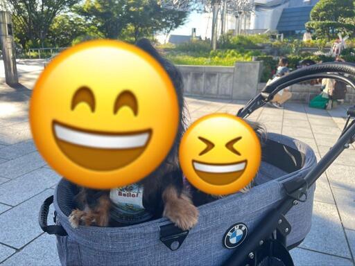 エアバギーBMWコラボお値段変更