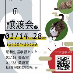 1/14(日)猫の譲渡会　in　名古屋市昭和生涯学習センター