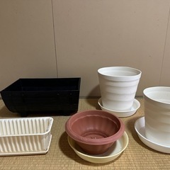 植木鉢 まとめ売り