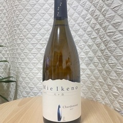 ✨高級日本ワイン ドメーヌ・ミエイケノ Mie Ikeno シャルドネ