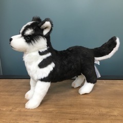 ハスキー犬　ぬいぐるみ　HANSA