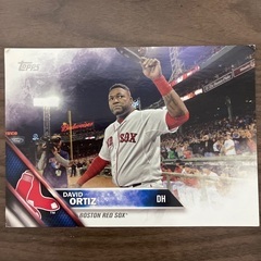 年末に処分します。Boston Red Sox ポストカード