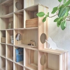 階段キャットウォーク