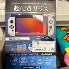 未使用　Switch フィルム