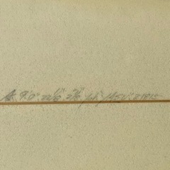 さらに値引き　EPS ロングロンボード　9フィート　トライフィン