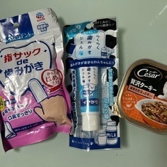 犬猫用歯磨きセット＋シーザーおうちレシピ