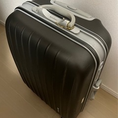 スーツケース　PIGEON CLOVER