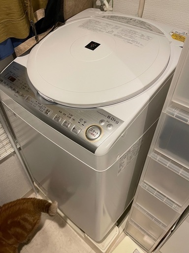 縦型自動洗濯乾燥機