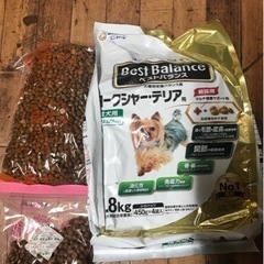 ベストバランス　ヨークシャーテリア用　犬用餌　ドライフード