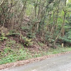 ★★　 自然に囲まれた249坪の山　★★