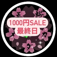 【五桜メダカ】12月17日　1000円SALE最終日　横須賀めだ...