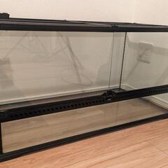 ガラス　ケージ　ペット用品　グラステラリウム