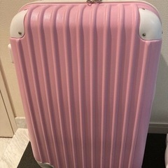 機内持ち込みサイズ　スーツケース難あり