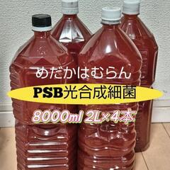 【決まりました】PSB光合成細菌8000ml(2L×4本）　